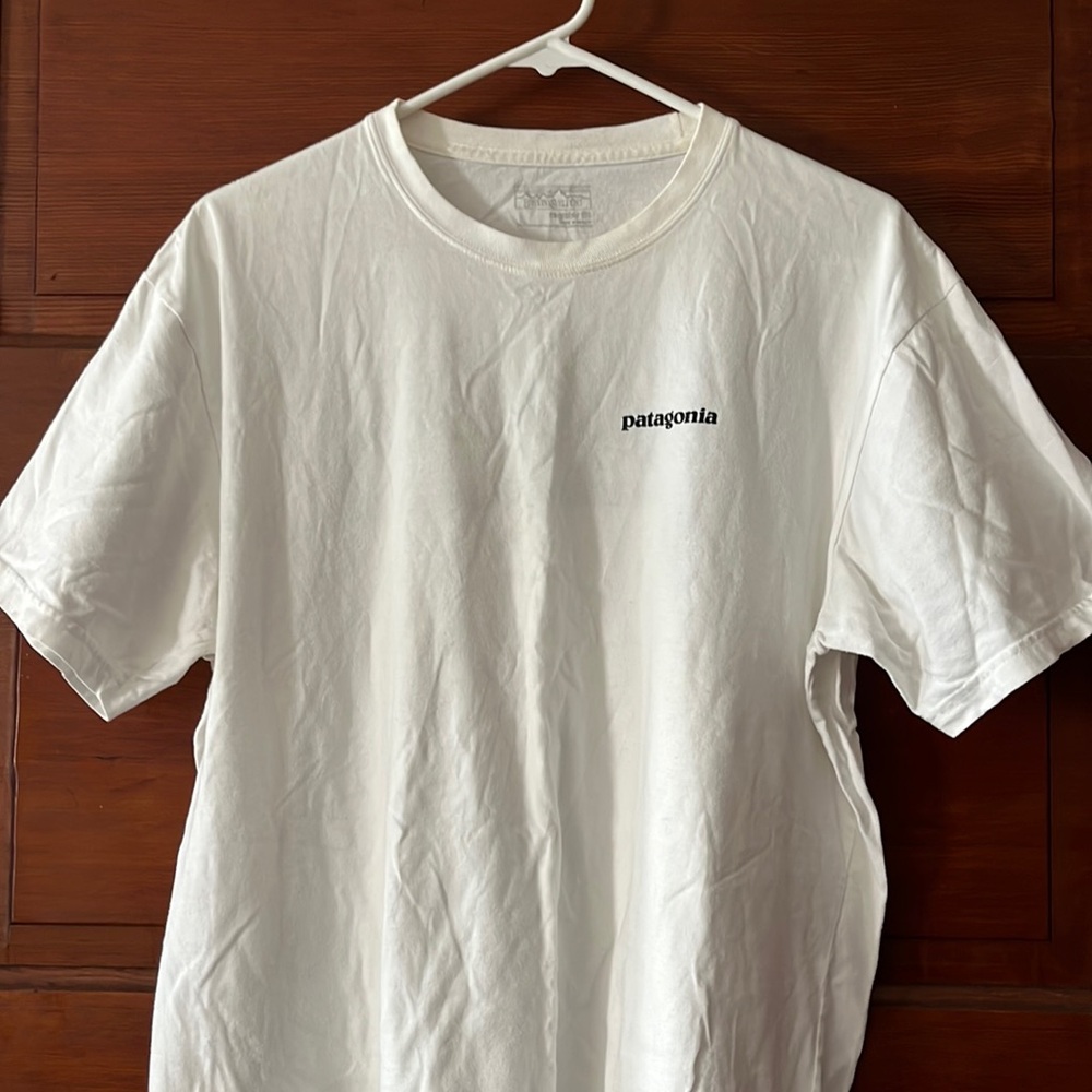 Patagonia Tee